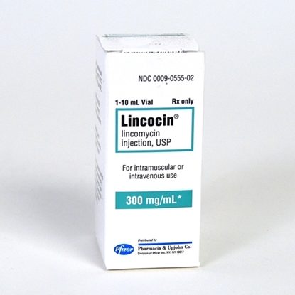 Lincocin®, (Lincomycin Injection, USP), 300mg/mL, MDV, 10mL Vial