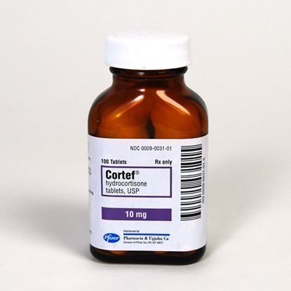 Cortef®, 10mg, 100 Tablets/Bottle