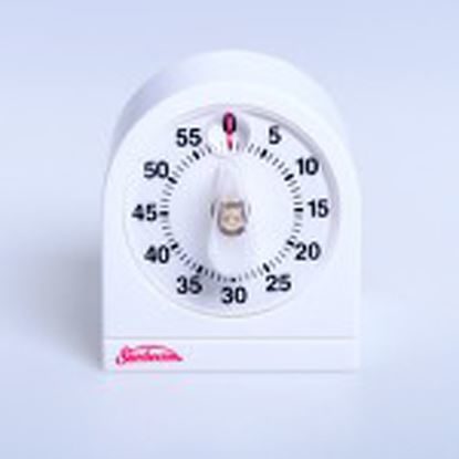 Timer, Dial 60 minute, Single Ring, 3.75 x 3" Each