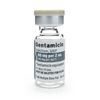 Gentamicin Sulfate 40mgmL MDV 2mL 25 VialsTray