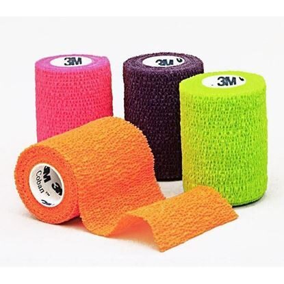 Bandage, Coban™ 3" x 5 yards, Self-Adherent, Neon Assorted 12/Case