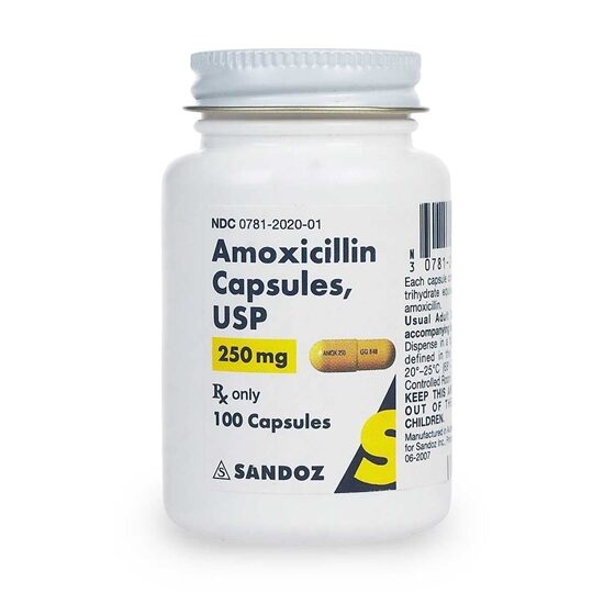 Amoxicillin 250 mg Capsules, 100 Count