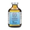 ASCOR Ascorbic Acid Injection USP 500mgmL PBP 50mL Vial  Each