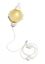 Eclipse Elastomeric Gravity Pump  100mL Capacity 200mLhour  48Case