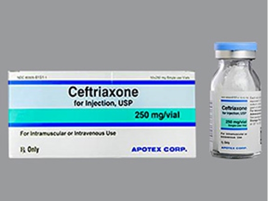 Ceftriaxone Sodium Powder 250mg Vial