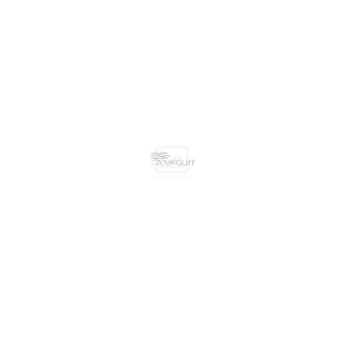 Clonidine hcl 0 2mg 100 tablets bottle mcguff