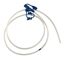 Tube Nasogastric Feeding Kangaroo Catheter Tip Connector Polyurethane Sterile 12fr 36 10box