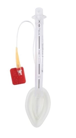 Laryngeal Mask  LarySeal  Size 3 PVC clear  15mm connector 20mL   EACH
