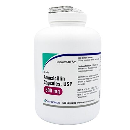 Amoxicillin 500 mg Capsules, 500 Count