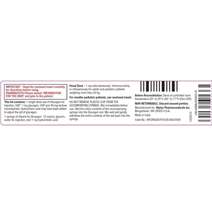 Glucagon Emergency Kit for Low Blood Sugar Injection 1 mg/Vial, Syringe 1 mL, Each