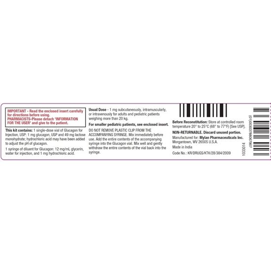 Glucagon Emergency Kit for Low Blood Sugar Injection 1 mgVial Syringe 1 mL Each
