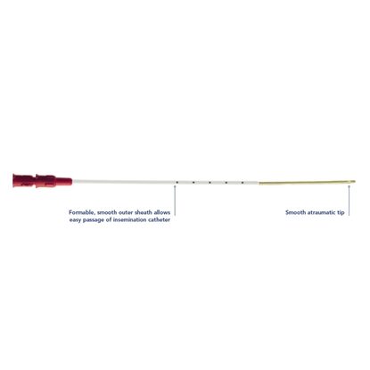 Wallace Insemination Catheter, 10/Box, Special Order, Non-Returnable