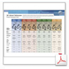 3M Stethoscope Comparison Chart